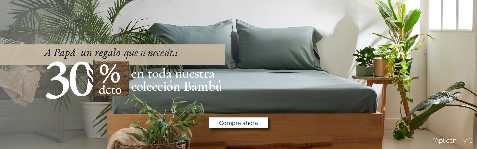 Junio padres promo bambú