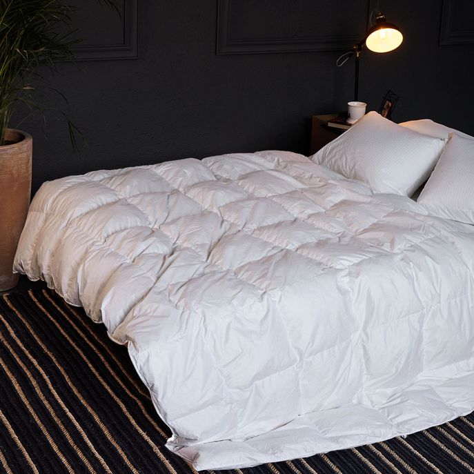 7702704647378-1 7702704647378-1