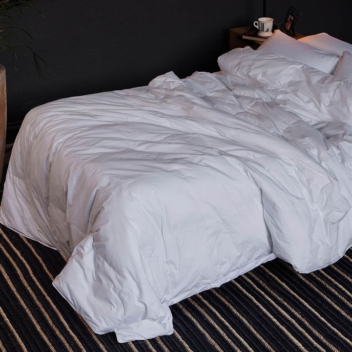 7702704647323-1 7702704647323-1